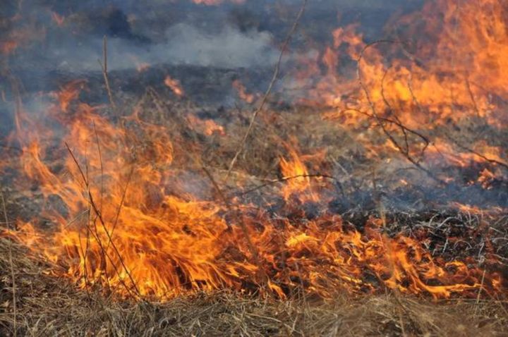 В Республике объявлен самый высокий класс пожарной опасности