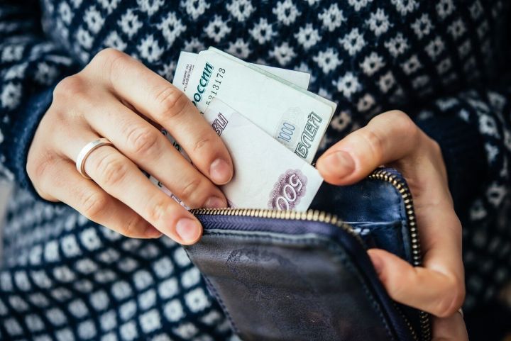 Инициаторы «Справедливой России» предложили ограничить количество микрозаймов, которые может взять человек