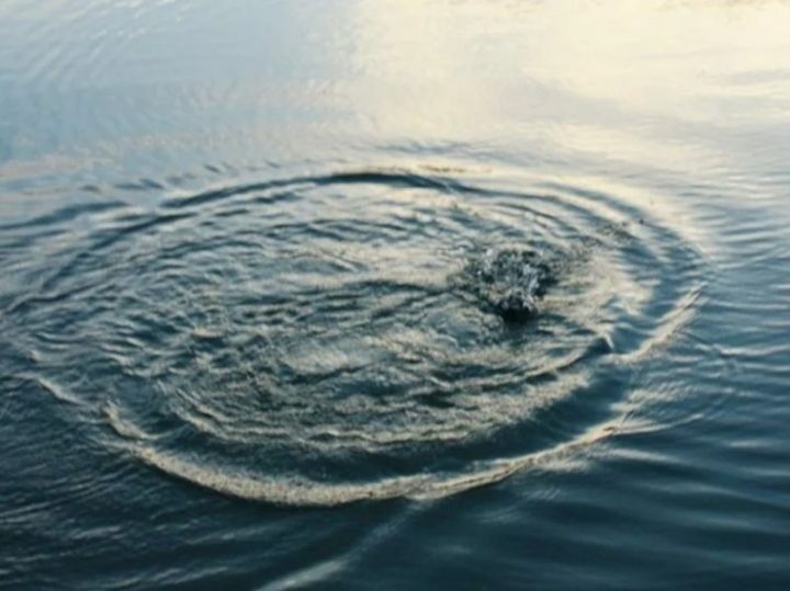 На озере «Катрин» утонул 18-летний луганчанин