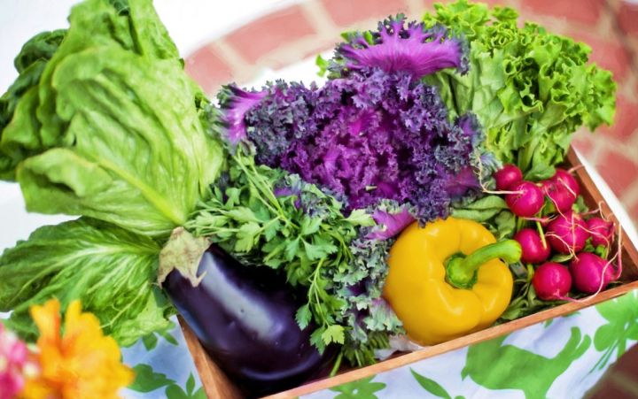 ТОП-5 продуктов, которые сохранят гибкость и снизят воспаления в сосудах