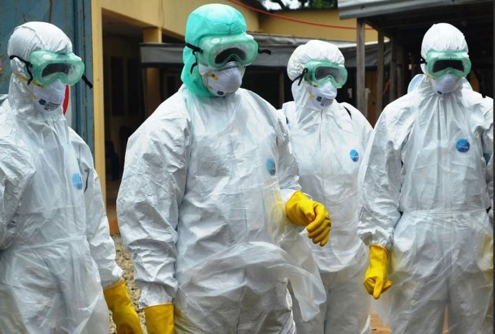 Новая эпидемия не за горами: Роспотребнадзор призвал регионы России подготовиться к мерам по профилактике чумы