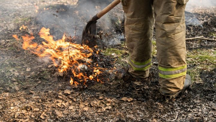 Никаких костров: в ЛНР продолжает действовать высокий класс пожарной опасности