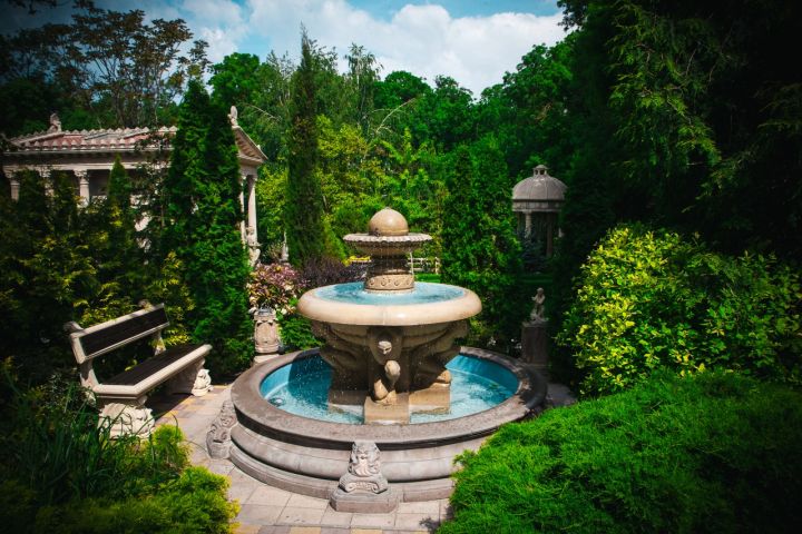 Закрыли пляжи, что делать?: три незабываемых парка, которые стоит посетить туристам на Кубани