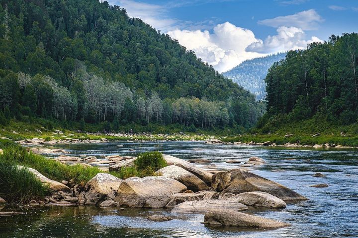 Жителям ЛНР порекомендовали не купаться в реках и озёрах