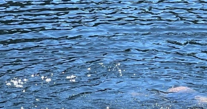 В Луганске утонул 13-летний ребёнок