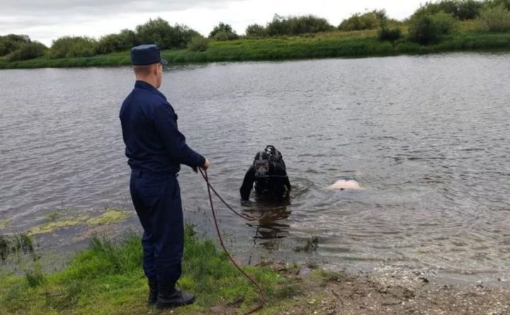 Из Комиссаровского пруда в ЛНР достали тело мужчины