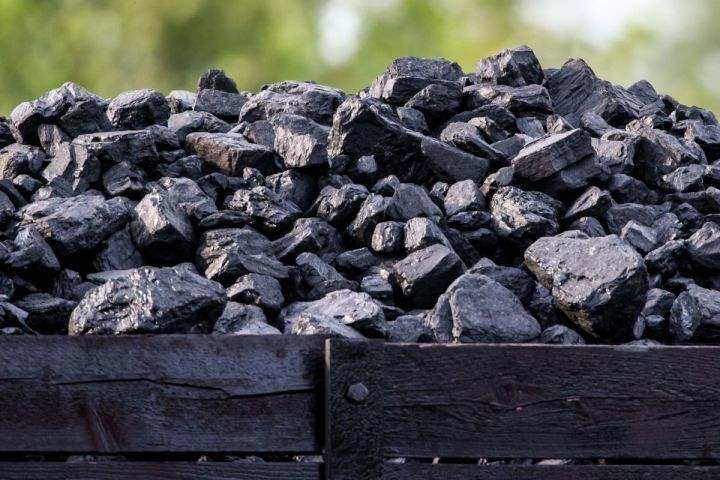 Уголь из ДНР может пойти на экспорт в Африку
