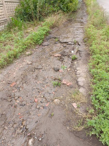 Питьевая вода уходит в никуда на улице Карпа Животова в Краснодоне