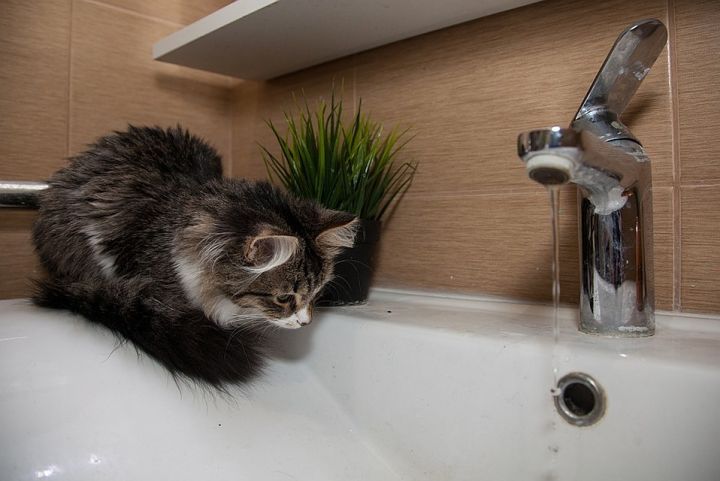 Некоторые населённые пункты ЛНР останутся без воды на сутки