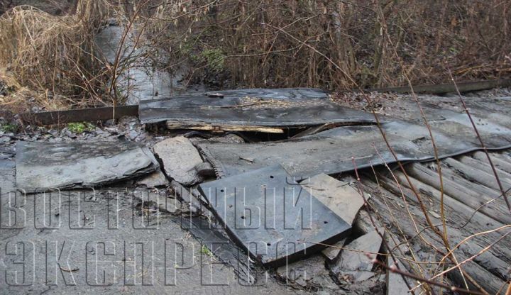 Дубовая балка – недалеко от «Центра»