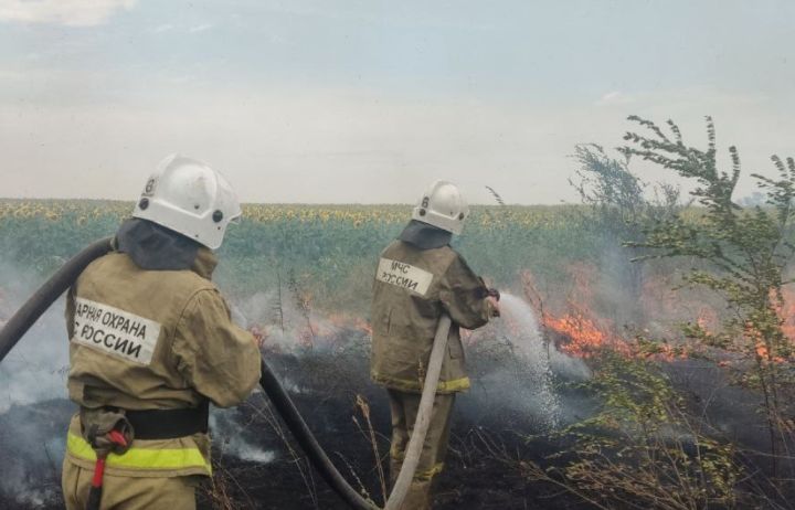 Крупный пожар сухостоя ликвидировали в Краснодонском районе