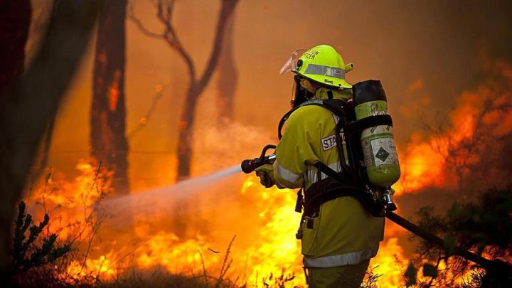За сутки в ЛНР выгорело 24 гектара сухой травы