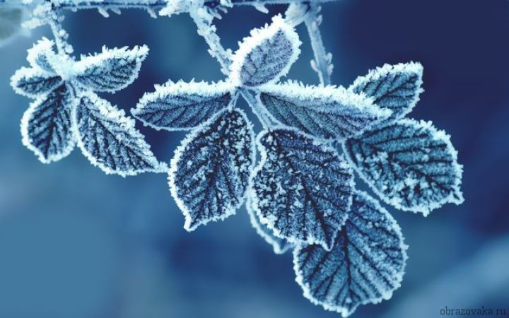 Опять мороз: какая погода ожидается на выходных в ЛНР