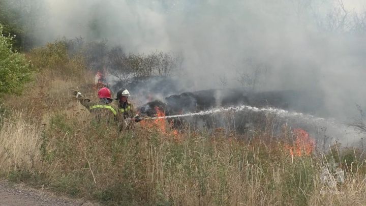 На выходных в ЛНР ликвидировали более 70 пожаров: выгорела огромная территория сухотравья