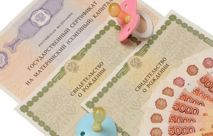 Депутаты от ЛДПР предложили увеличить размер маткапитала в России до 1 млн рублей