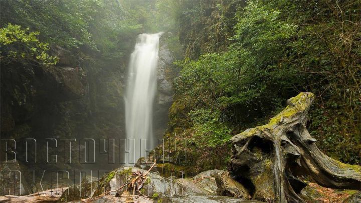 Абхазия – Родина души: как солнечный край встречает туристов и гостей из Свердловска