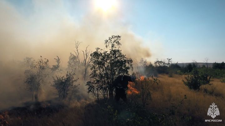 За сутки в ЛНР ликвидировали более 40 пожаров - МЧС