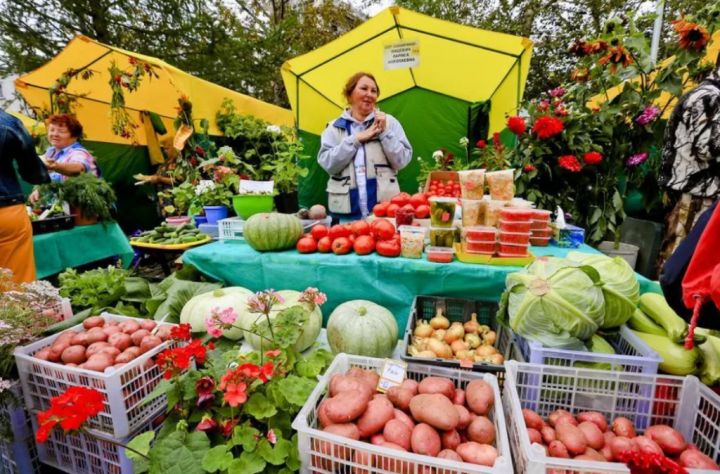 Луганчан приглашают посетить ярмарку с товарами из Ставропольского края