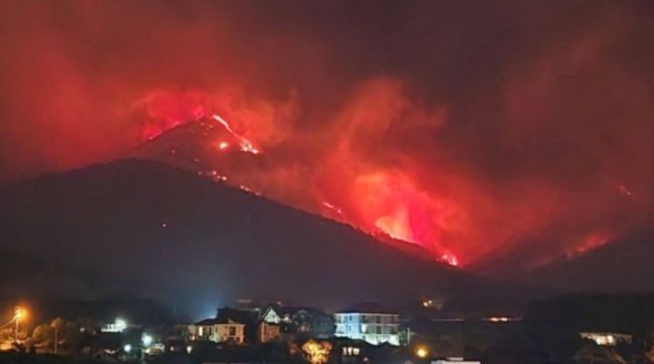 Масштабный пожар в Геленджике удалось ликвидировать: предварительно, огонь охватил площадь в 118 гектаров