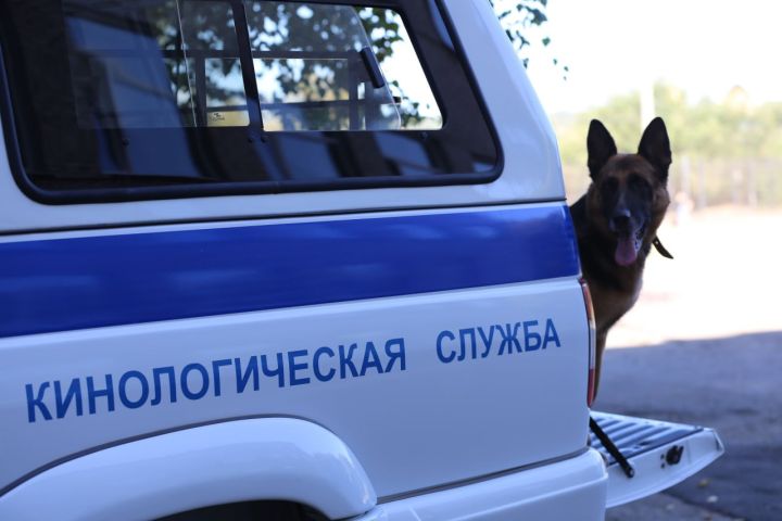 Полиция усилила меры по охране общественного порядка в ЛНР в преддверии Дня знаний