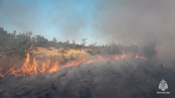 По всей территории ЛНР в выходные произошли пожары: выгорело 54 га сухотравья