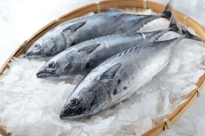 Ограничен ввоз мороженой рыбы и тунца в ЛНР из Вьетнама: в продукции нашли запрещённые вещества