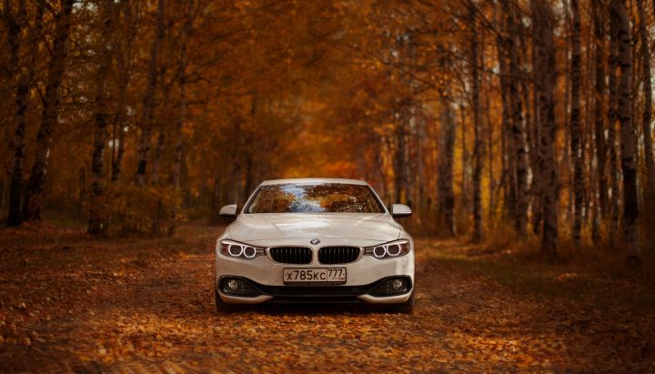 Дождливая осень: как водителям подготовить машину к непогоде