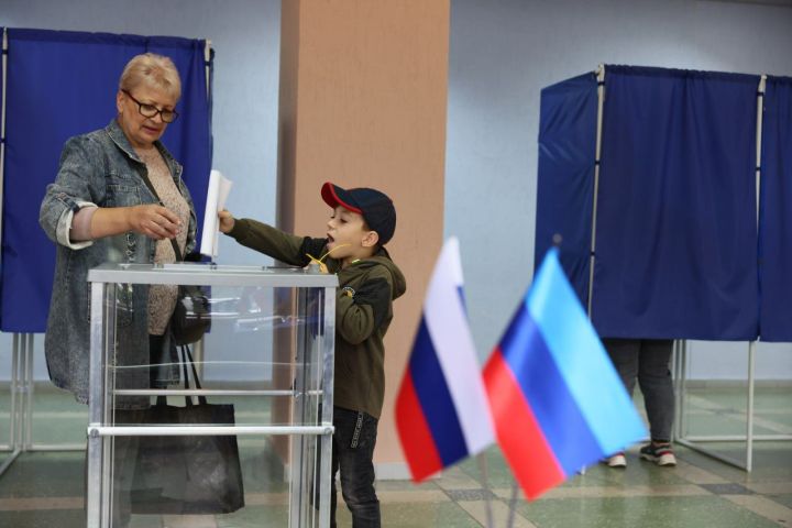 Кто прошёл в депутаты Алчевского муниципального округа