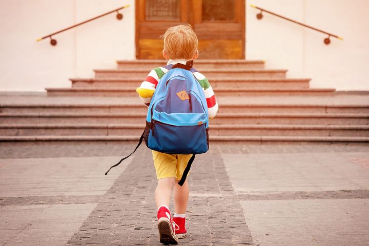 Что нужно знать родителям, отдавшим ребенка в первый класс в ЛНР, и какие права у них есть