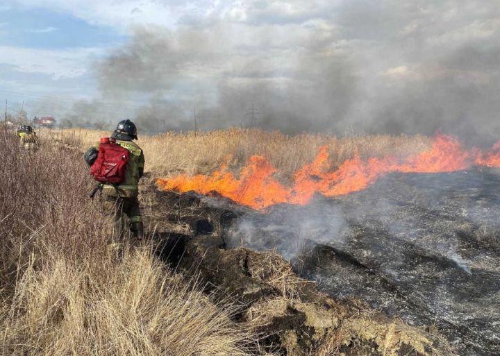 В ЛНР продолжаются сухотравные пожары: за выходные выгорело более 94 гектаров