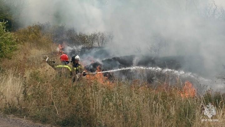 Брошенный в сухотравье окурок едва не унес жизнь 53-летнего жителя Северодонецка