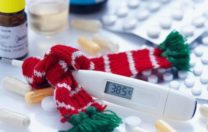 Жителей ЛНР и ДНР бесплатно проконсультируют по вопросам профилактики ОРВИ и гриппа