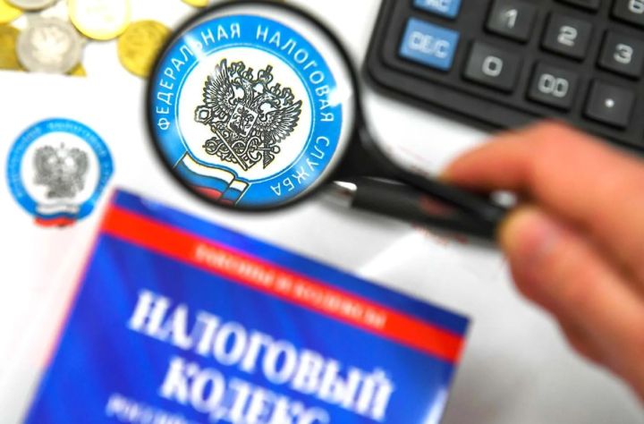 Записываемся на приём и решаем проблемы с коррупцией: телефоны налоговых органов в ЛНР