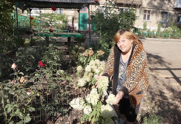 Красота на улице - работа жильцов, а не ЖЭКа: как свердловчане самостоятельно благоустраивают дворы