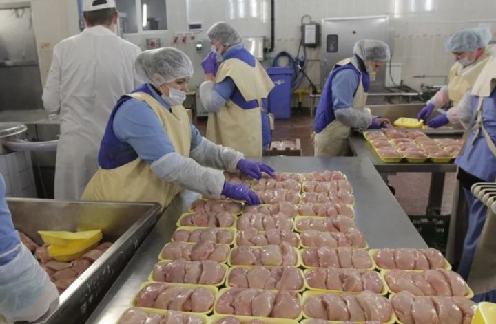 Над говядиной и курицей, ввозимой в ЛНР из Беларуси, установлен усиленный контроль: в мясе нашли листерии