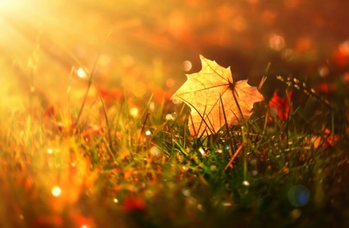 Резкое потепление придет в ЛНР на грядущих выходных