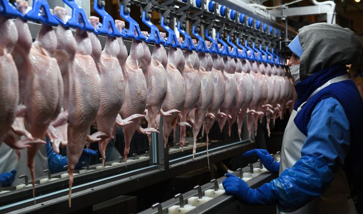 В России стало дешеветь куриное мясо