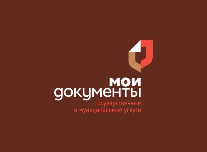 Записаться на приём можно будет онлайн: МФЦ в ДНР работает над созданием сайта для жителей