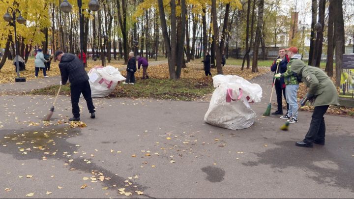 Жителям ЛНР предлагают поучаствовать в масштабном субботнике 28 октября