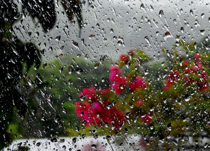 Пройдут дожди и похолодает: синоптики рассказали о погоде в ЛНР 26 октября