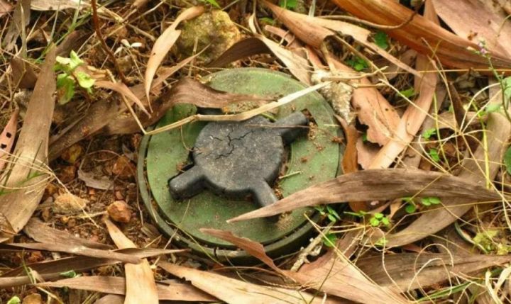 В ЛНР 11-летний мальчик подорвался на мине