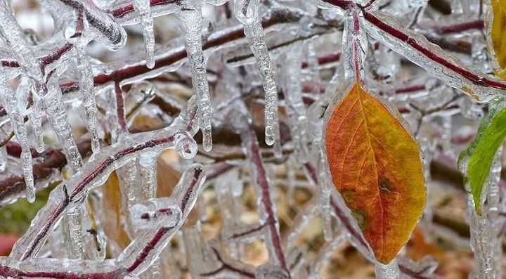 Заморозки до - 2° ожидаются в ЛНР 30 октября