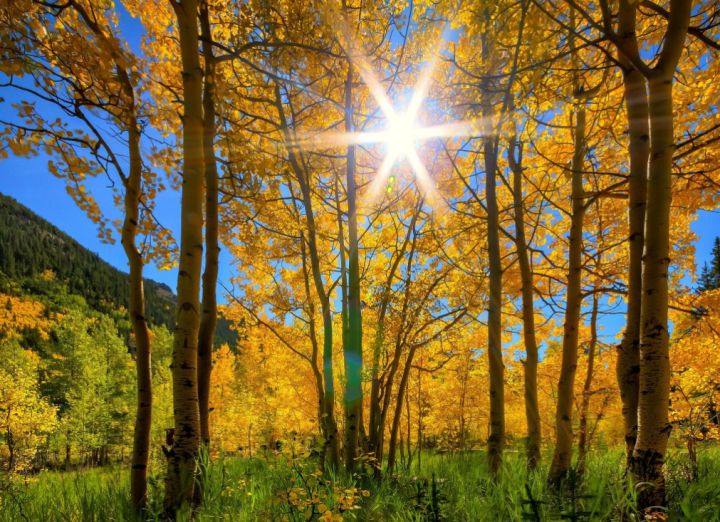 Будет тепло, как летом: в ЛНР в последний день октября прогнозируют рекордно высокую температуру