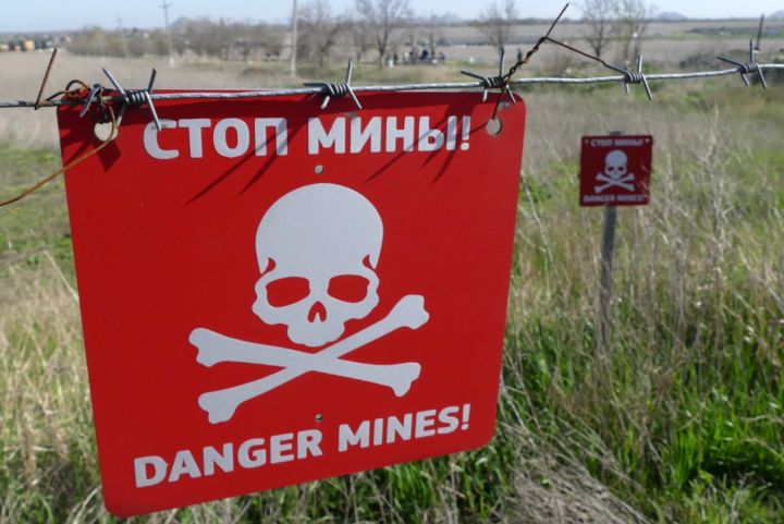 Осторожно, мины: в мэрии Кировска назвали территории, которые посещать опасно