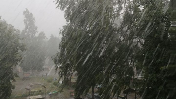 Сильный дождь и туман ожидаются в ЛНР 4 ноября