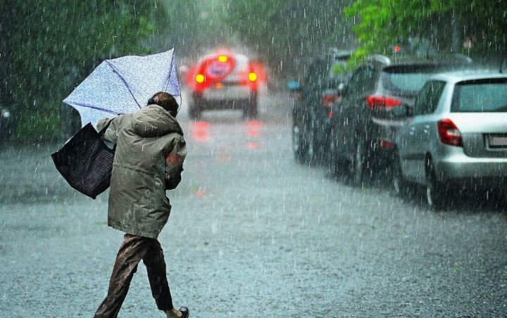 Дождливо и ветрено будет в ЛНР 5 ноября