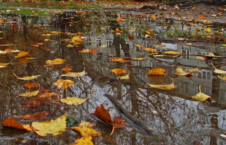Сильный дождь и ветер ожидаются в ЛНР 6 ноября