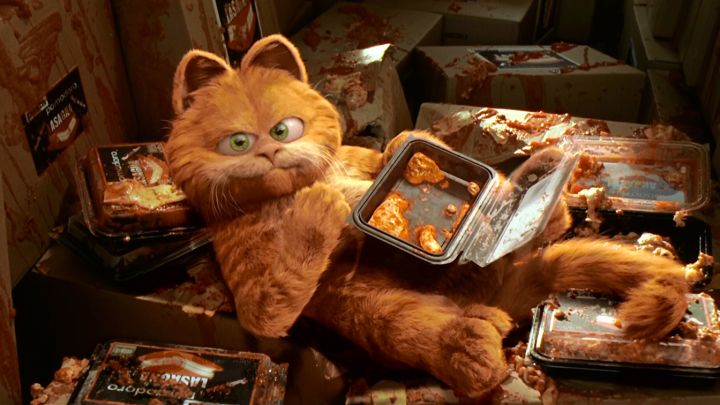 Люби, корми и никогда не бросай: почему очень опасно перекармливать котов