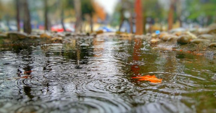 Дождливо и ветрено: синоптики сообщили о погоде в ЛНР 15 ноября