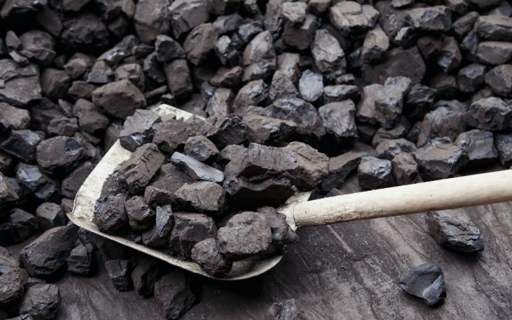 Минтруд сообщил, до какого числа жители ЛНР могут оформить выплаты на покупку угля